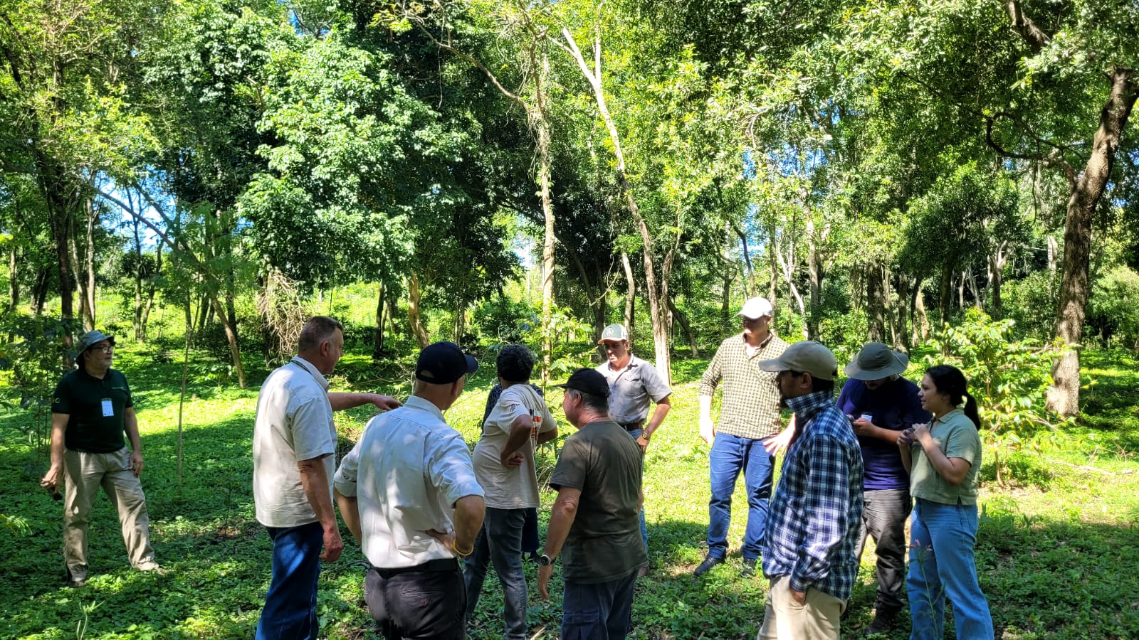 Comunidad SOLAEH