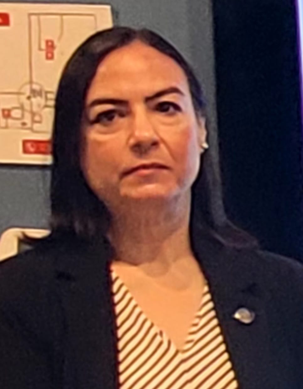 Maria José Aparicio Meza